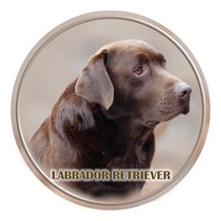 Labradorský retriever