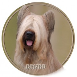 Briard