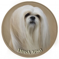 Lhasa Apso