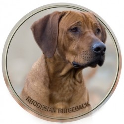 Rhodéský ridgeback