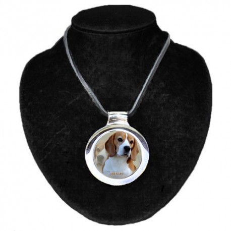 Beagle Beagle