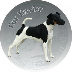 Foxteriér