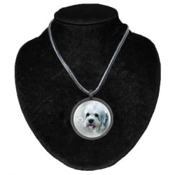 Dandie dinmont teriér