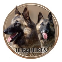 Belgický ovčák - Tervueren