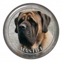Anglický mastif