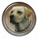 Labradorský retriever