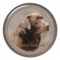 Labradorský retriever