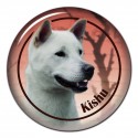 Kishu