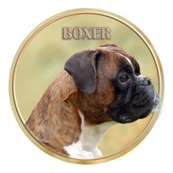 Boxer