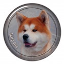 Akita-Inu