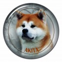 Akita-Inu