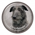 Deerhound
