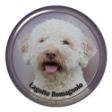 Lagotto romagnolo