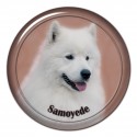 Samojed