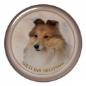Sheltie