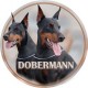 Doberman